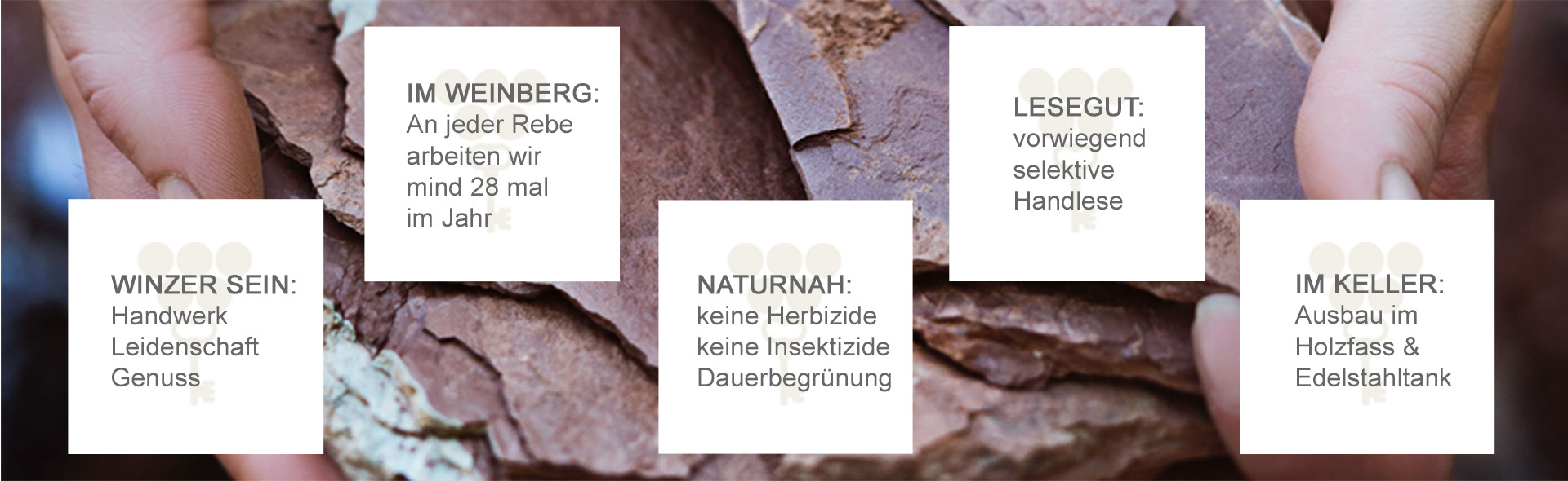 Weinkeller des Weinguts